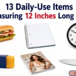 13 Daily-Use Items Measuring 12 Inches Long 2026