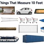 14 Things That Measure 10 Feet Long or Are Big