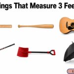 16 Things That Measure 3 Feet Long or Big