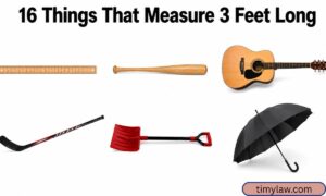 Measure 3 Feet