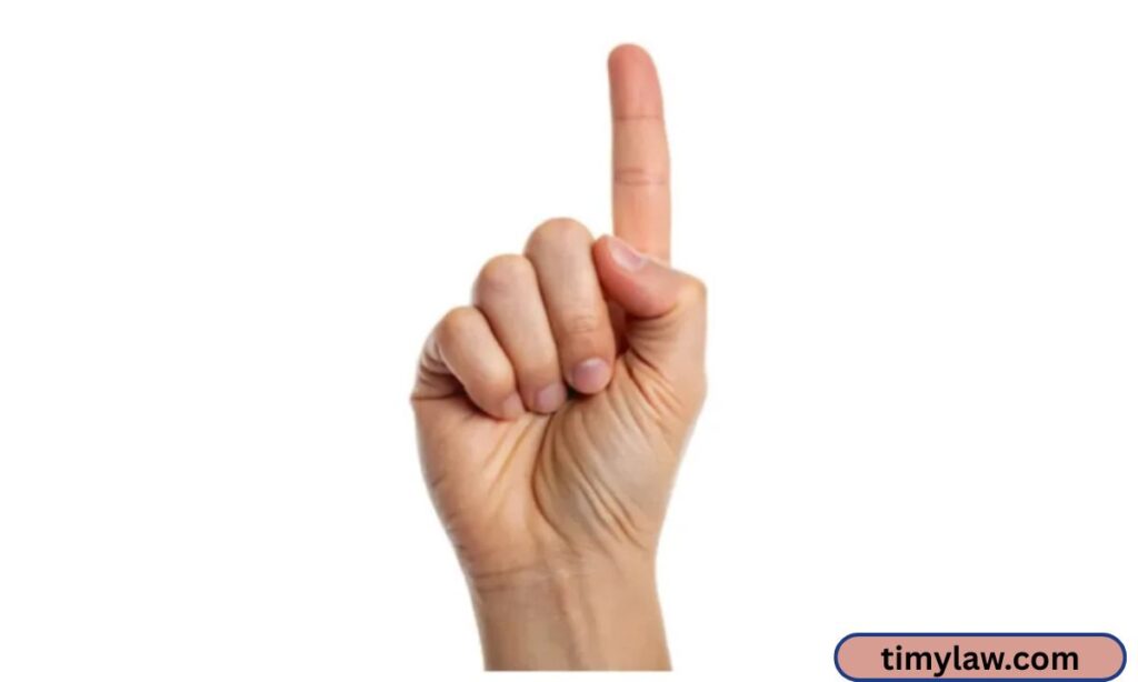 Index Finger Length