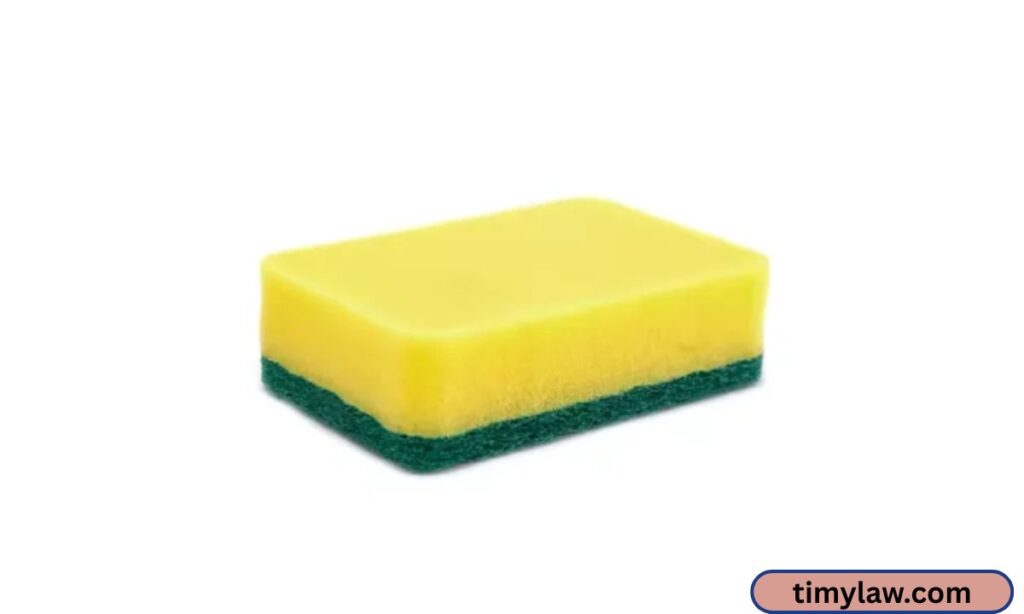 Kitchen Sponge