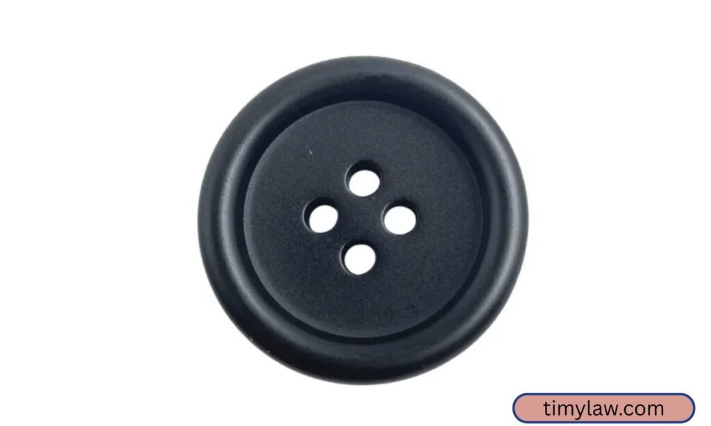 Large Coat Button