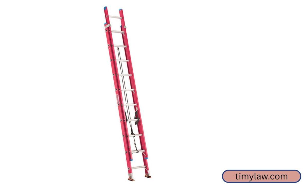 Large Ladder (Extension Ladder)