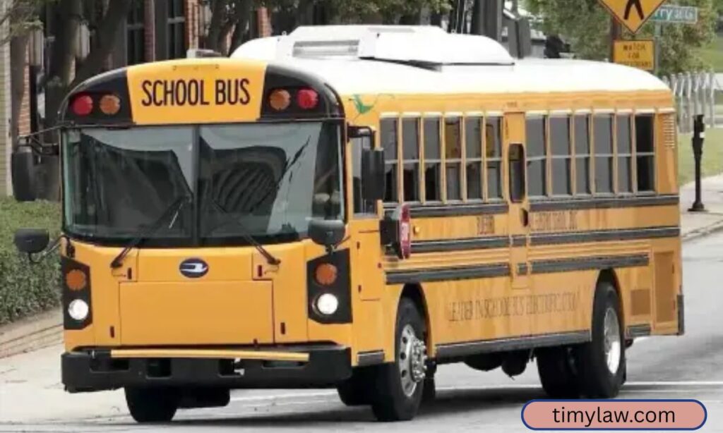 School Bus Shorter Length Comparison