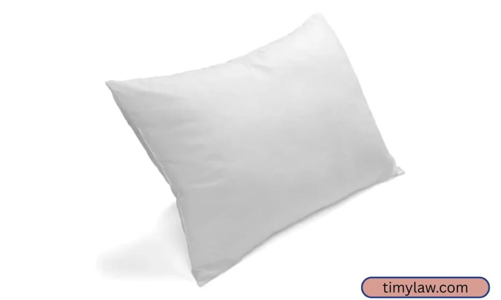 Standard Throw Pillow