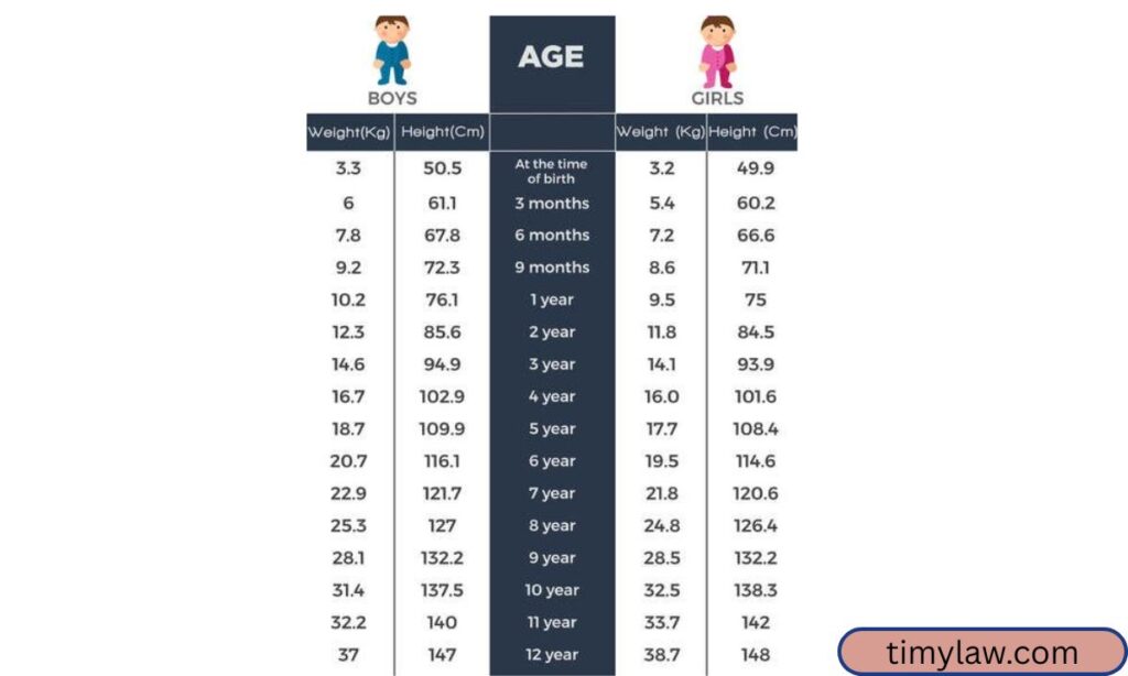 Toddler Height (Average)