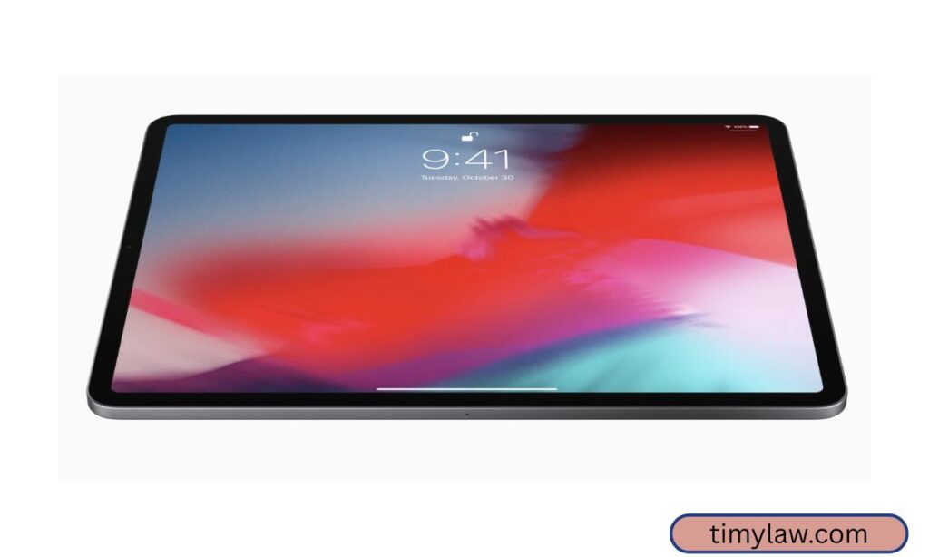 iPad (Standard Model)