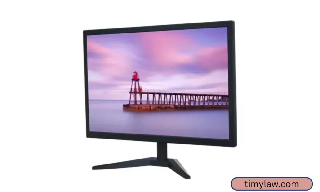 19-Inch Computer Monitor