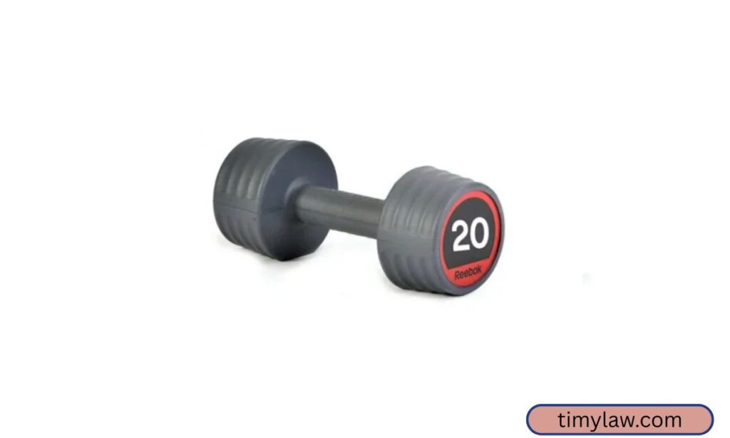 20 kg Dumbbell or Kettlebell