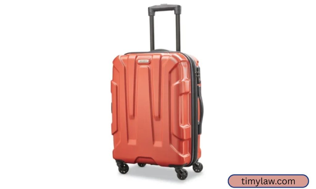 Checked Luggage (Standard Size)