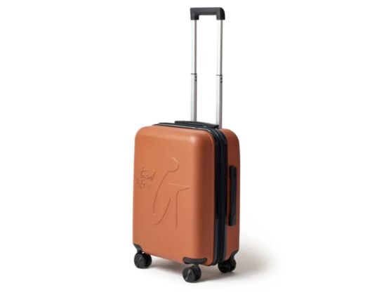 Checked Luggage (Standard Weight Limit)