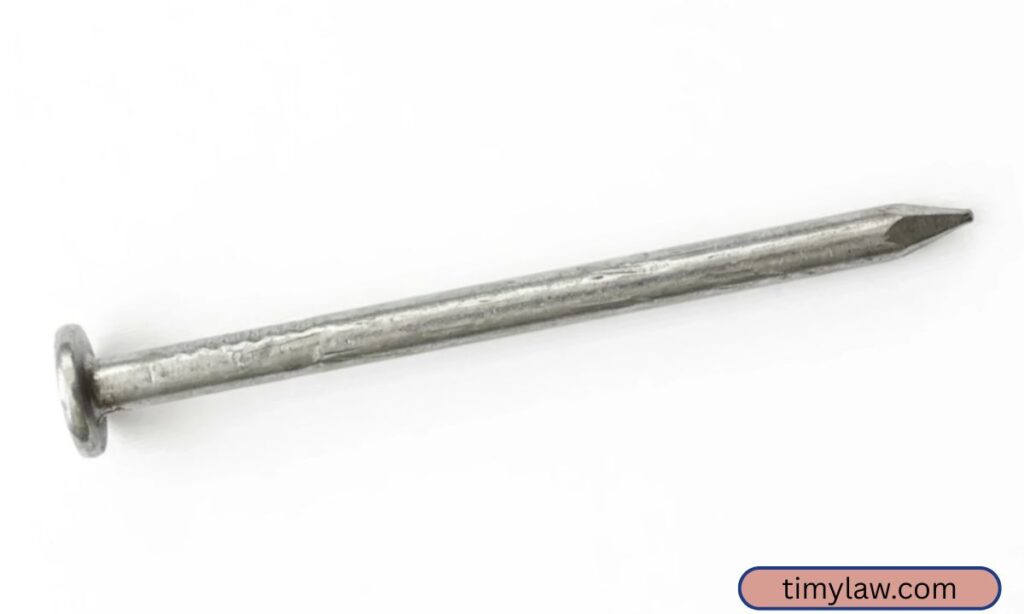 Construction Nail (Large Size)
