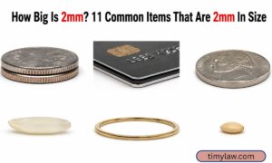 2mm In Size