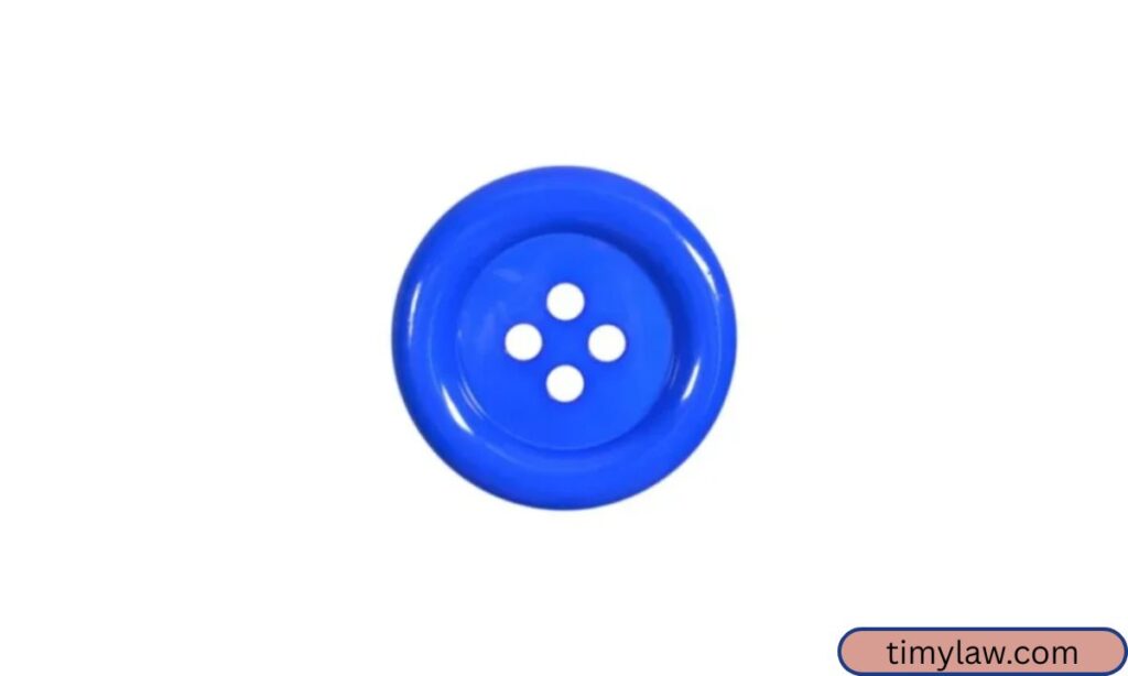 Large Button