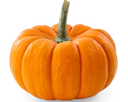 Large Pumpkin