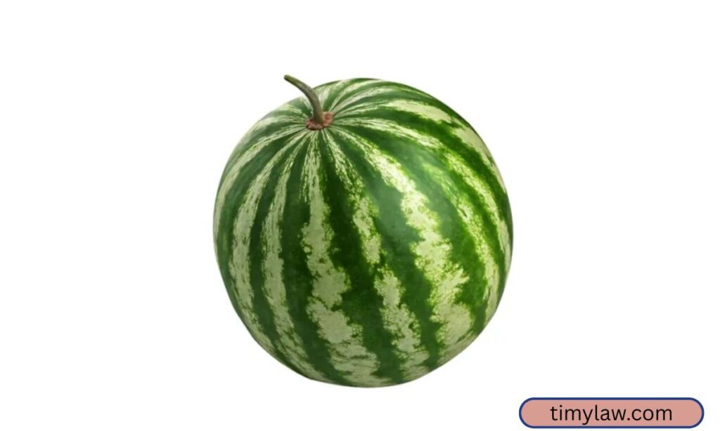 Large Watermelon  20 Pounds