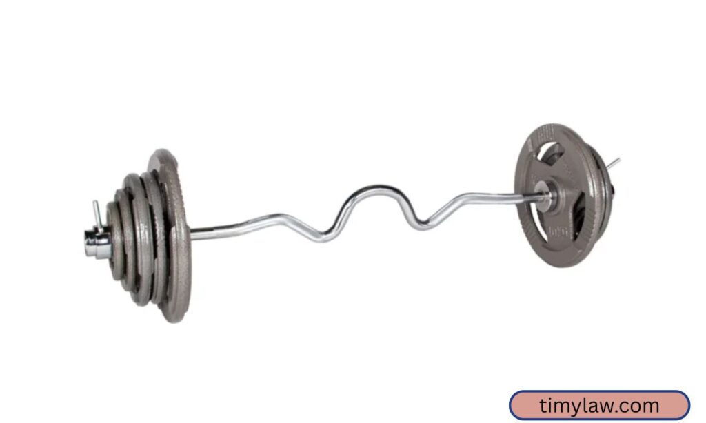 Loaded Olympic Barbell Weigh 100 Kilograms