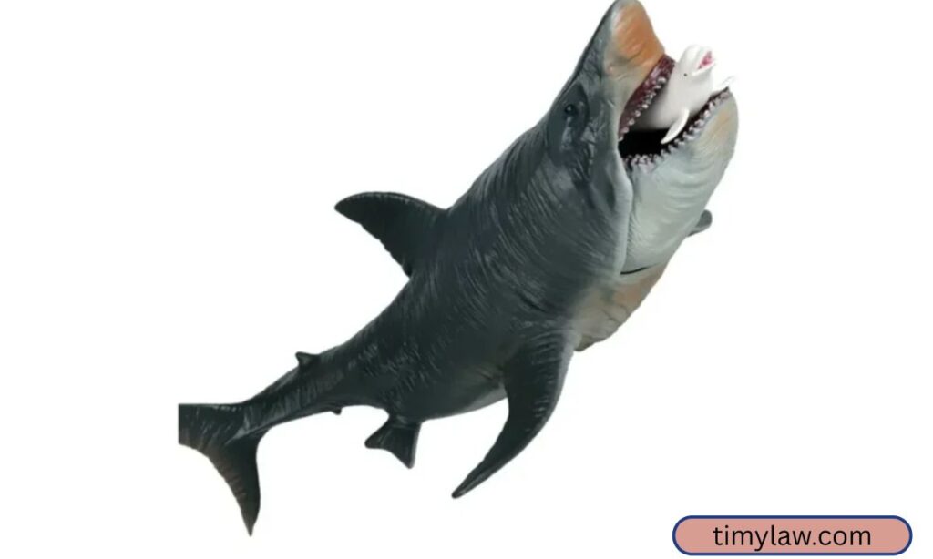 Megalodon (Extinct Shark)