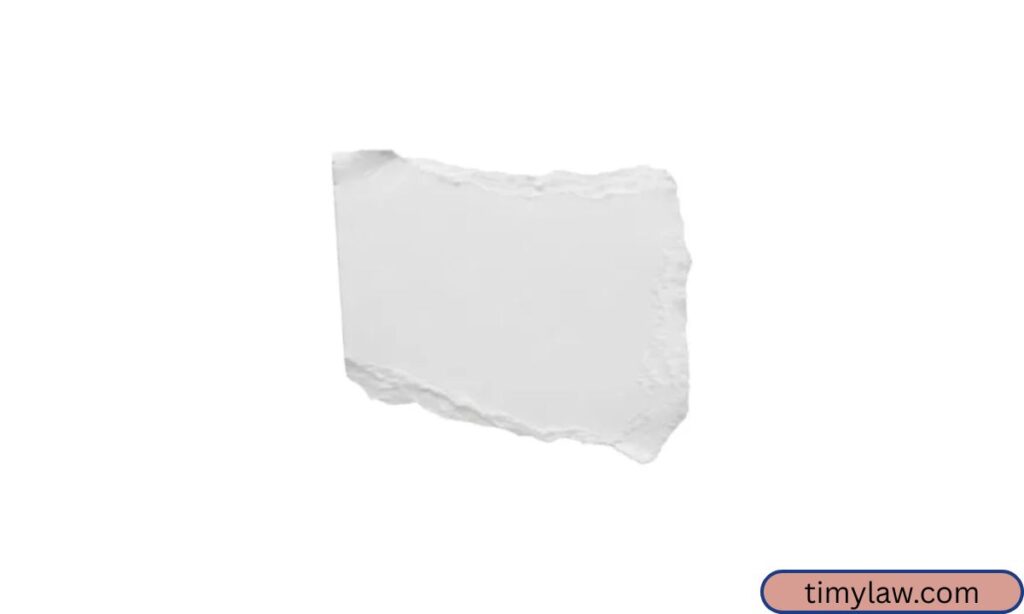 Single Piece of Paper Towel (Torn Section)