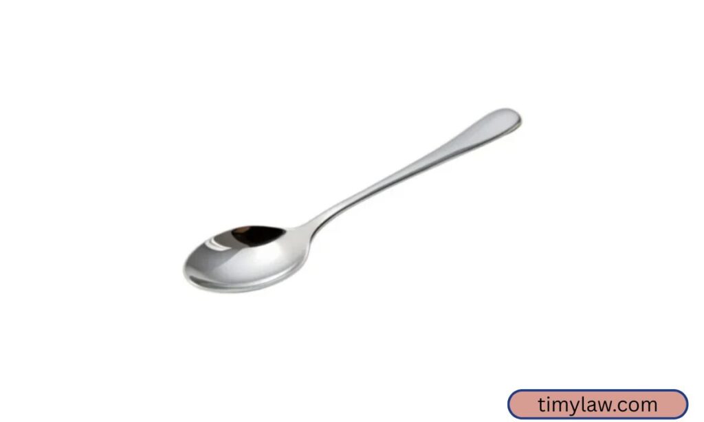 Small Steel Spoon