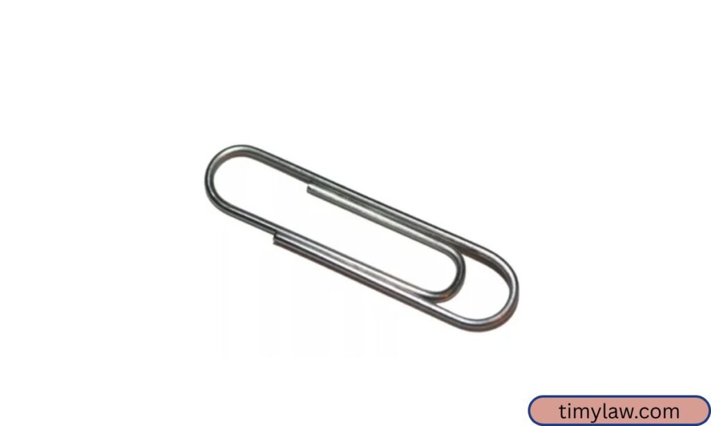 Standard Metal Paperclip Weigh 1 Gram