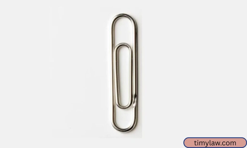 Standard Paperclip (1)