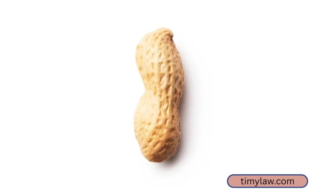 Standard Peanut 2 Centimeters