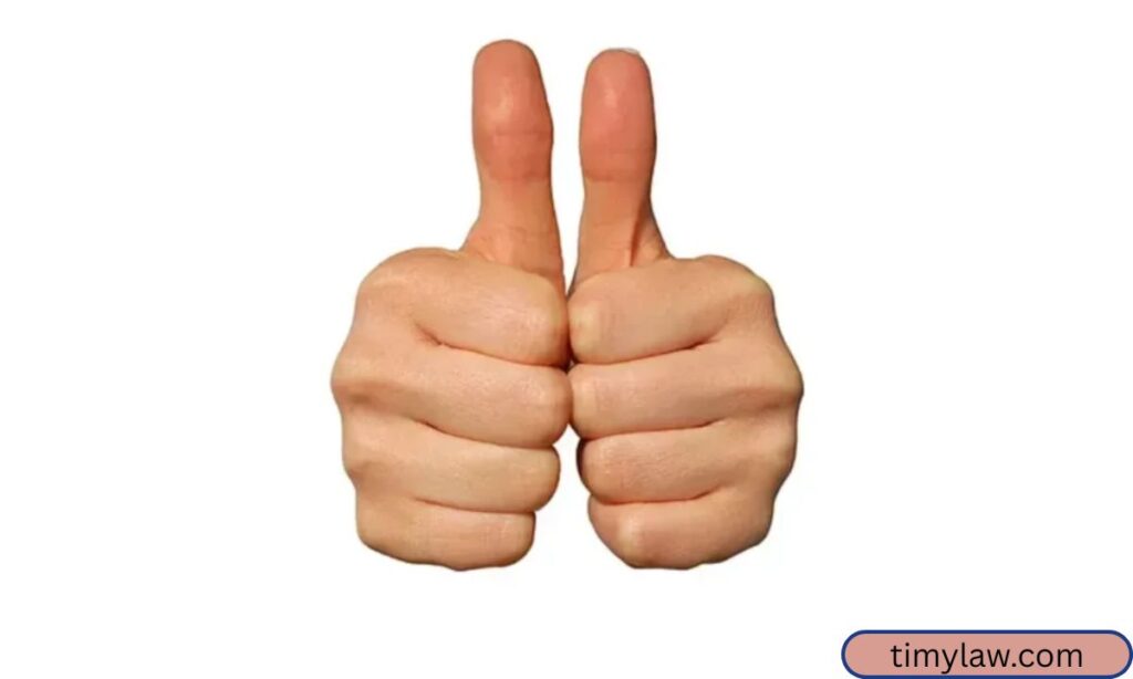 Thumb Top Joint