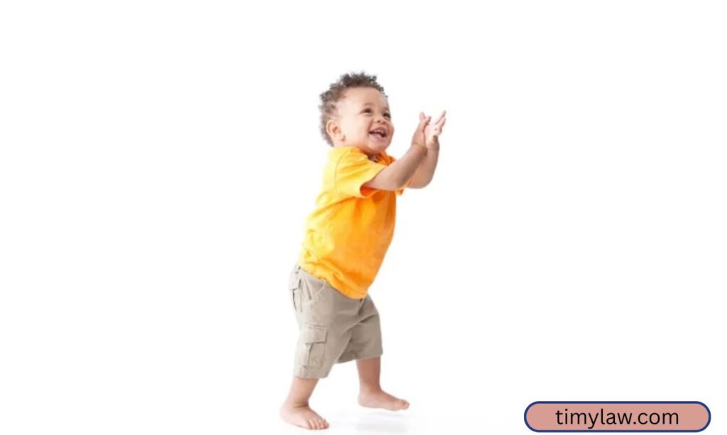 Toddler (2-3 Years Old)