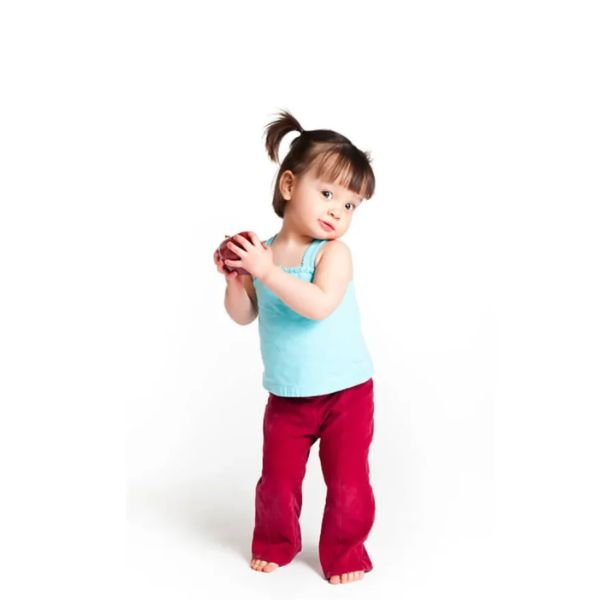 Toddler Height (2-3 Years Old)