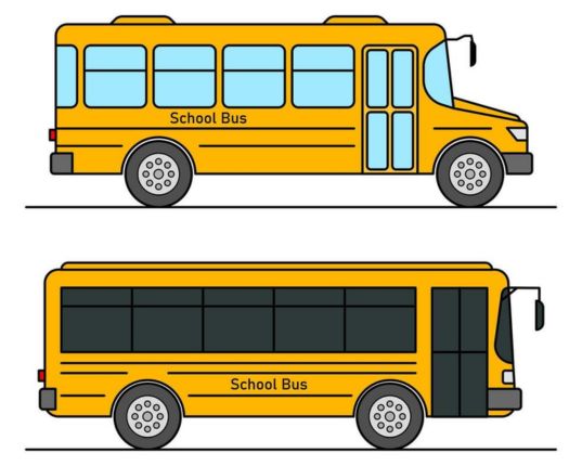 Two School Buses 20 Meters 