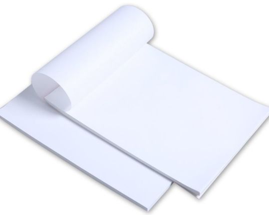 Two Sheets of Standard Printer Paper