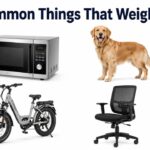 12 Common Things That Weigh 30 KG