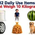 12 Daily Use Items That Weigh 10 Kilograms