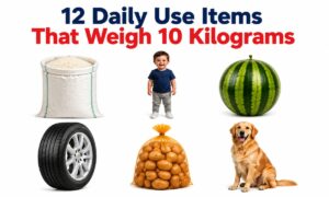 Weigh 10 Kilograms