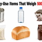 12 Daily-Use Items That Weigh 500 Grams