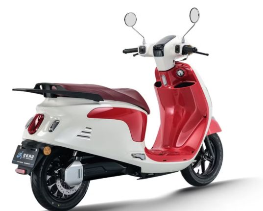 Electric Scooter (High-End Models)